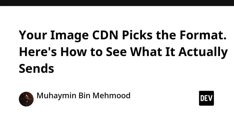 CDN de Imagens: Como o Formato Dinâmico Otimiza Seu Site e SEO Empresarial